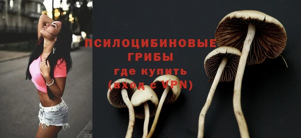 apvp Абаза