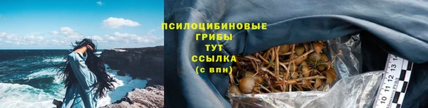 дурь Абинск