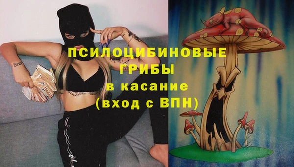 гидропоника Абдулино