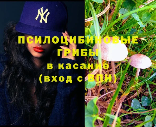 гидропоника Абдулино