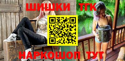 шишки Владимир