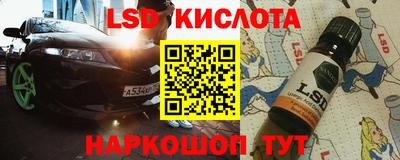 шишки Владимир