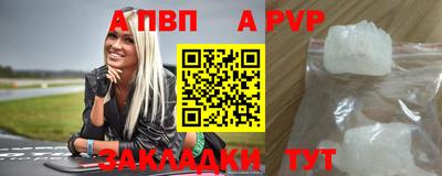 шишки Владимир