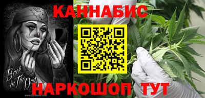 шишки Владимир