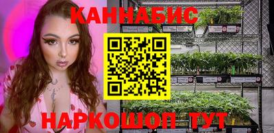 шишки Владимир