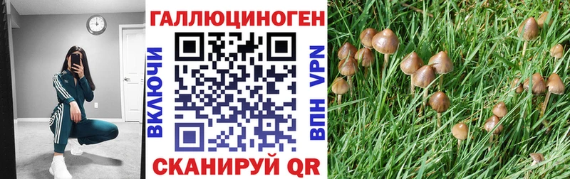 Псилоцибиновые грибы Cubensis  Богданович 