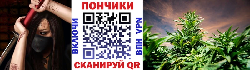 Шишки марихуана индика Богданович