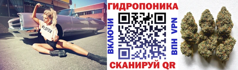 Конопля Ganja  Богданович 